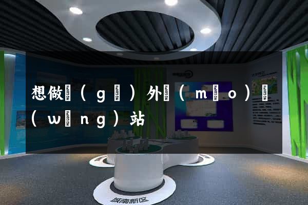 想做個(gè)外貿(mào)網(wǎng)站