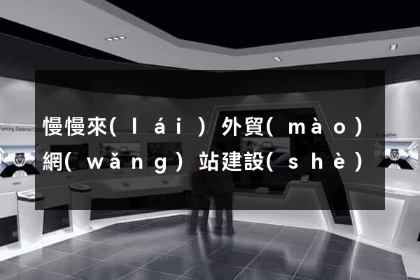 慢慢來(lái)外貿(mào)網(wǎng)站建設(shè)