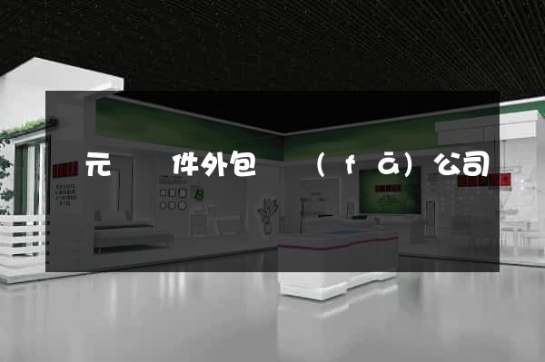 慶元縣軟件外包開發(fā)公司