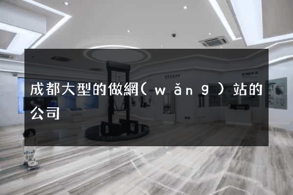 成都大型的做網(wǎng)站的公司