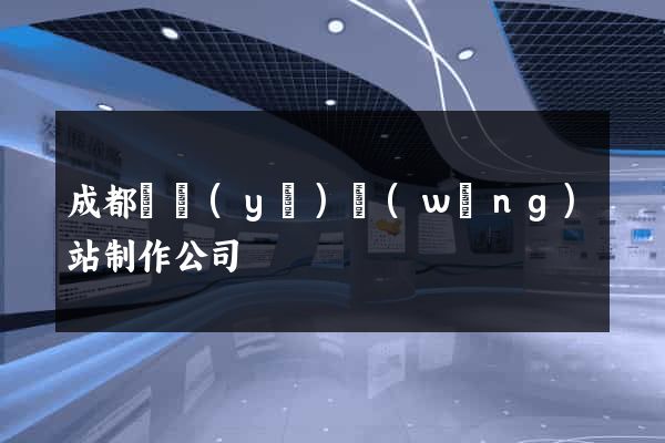 成都專業(yè)網(wǎng)站制作公司