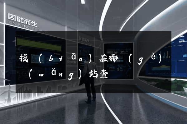投標(biāo)在哪個(gè)網(wǎng)站查詢