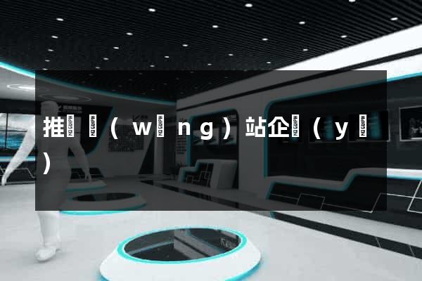 推廣網(wǎng)站企業(yè)