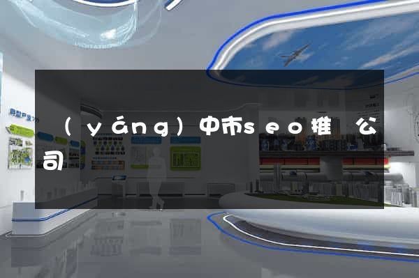 揚(yáng)中市seo推廣公司