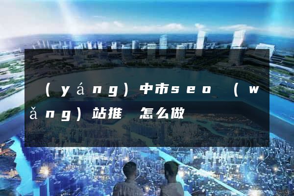 揚(yáng)中市seo網(wǎng)站推廣怎么做