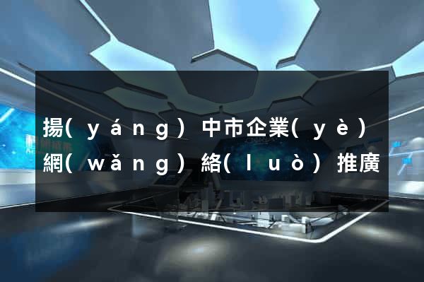 揚(yáng)中市企業(yè)網(wǎng)絡(luò)推廣
