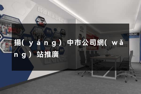 揚(yáng)中市公司網(wǎng)站推廣