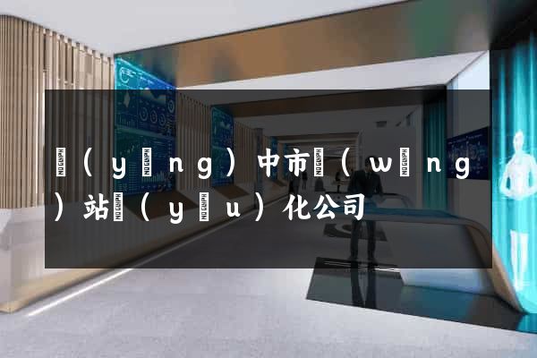 揚(yáng)中市網(wǎng)站優(yōu)化公司