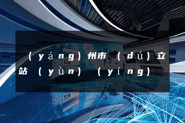 揚(yáng)州市獨(dú)立站運(yùn)營(yíng)