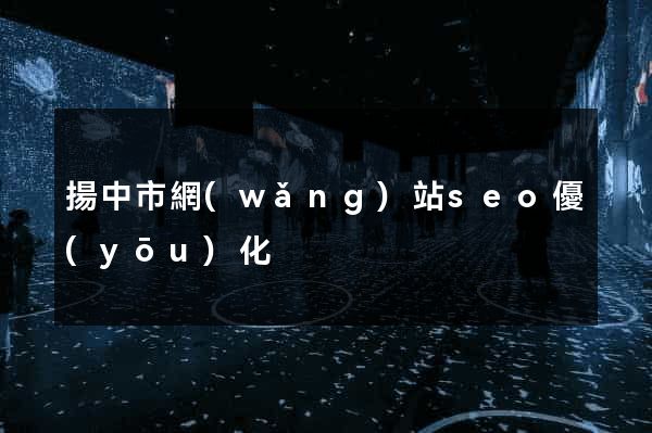 揚中市網(wǎng)站seo優(yōu)化