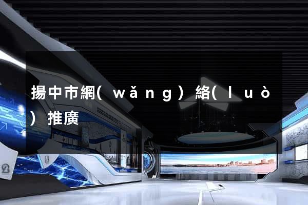 揚中市網(wǎng)絡(luò)推廣