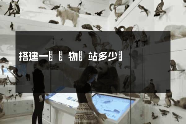 搭建一個購物網站多少錢