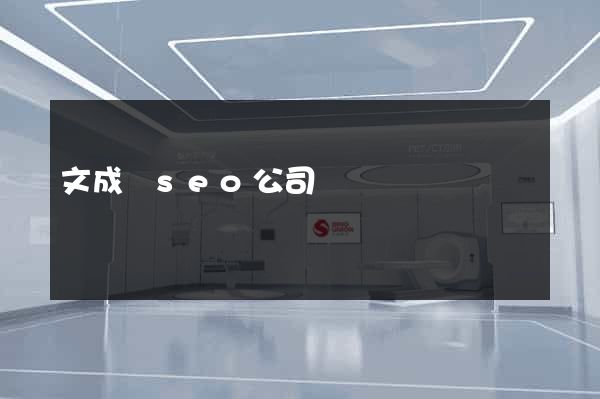 文成縣seo公司