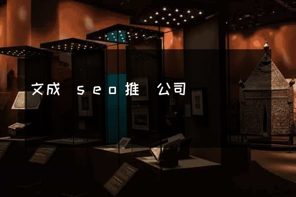 文成縣seo推廣公司