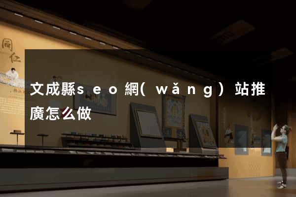 文成縣seo網(wǎng)站推廣怎么做
