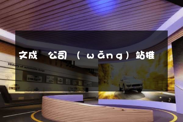 文成縣公司網(wǎng)站推廣