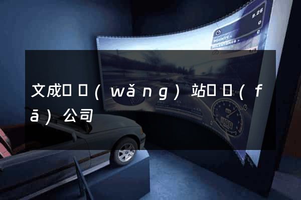 文成縣網(wǎng)站開發(fā)公司