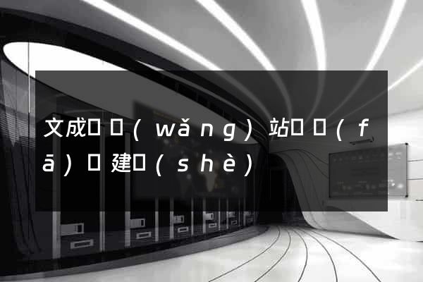 文成縣網(wǎng)站開發(fā)與建設(shè)