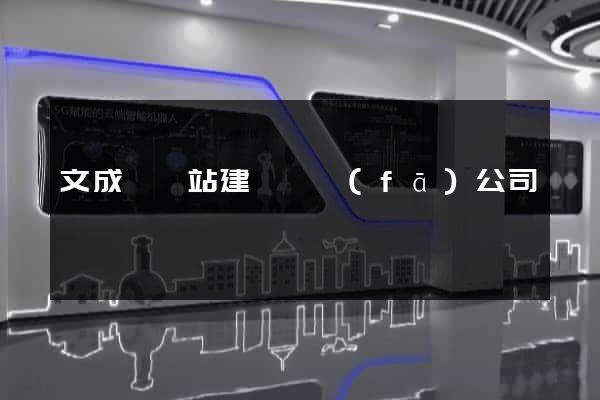 文成縣網站建設開發(fā)公司