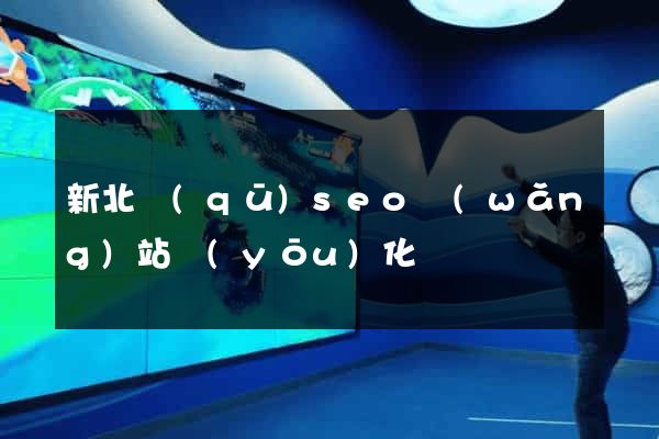 新北區(qū)seo網(wǎng)站優(yōu)化