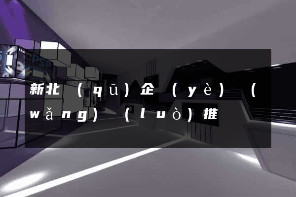 新北區(qū)企業(yè)網(wǎng)絡(luò)推廣