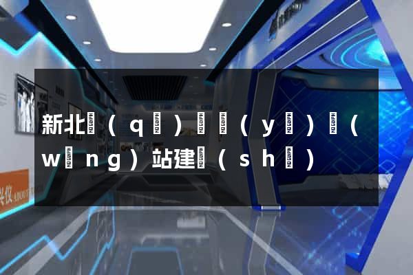 新北區(qū)專業(yè)網(wǎng)站建設(shè)