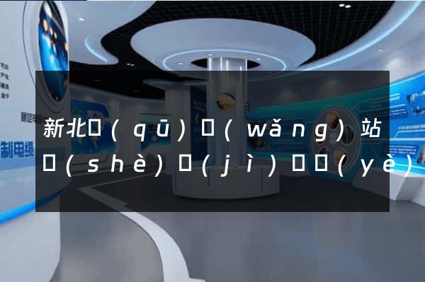 新北區(qū)網(wǎng)站設(shè)計(jì)專業(yè)的公司