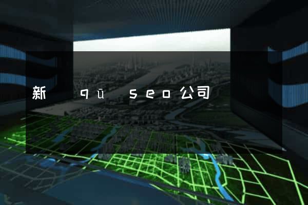新區(qū)seo公司