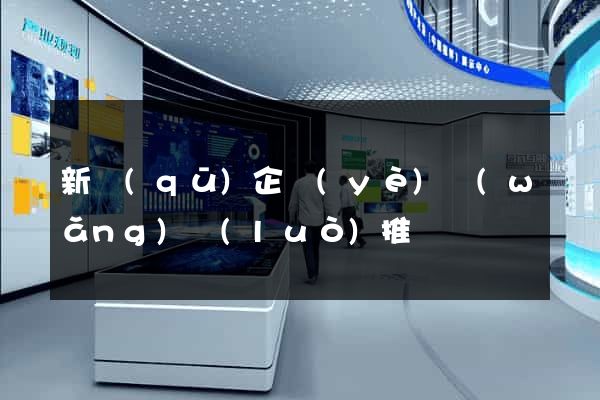 新區(qū)企業(yè)網(wǎng)絡(luò)推廣