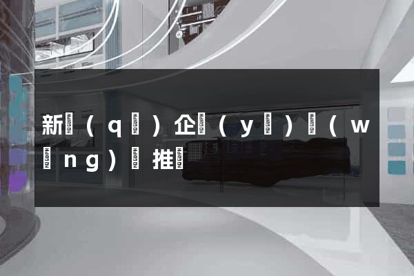 新區(qū)企業(yè)網(wǎng)絡推廣