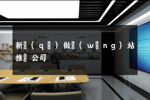 新區(qū)做網(wǎng)站推廣公司