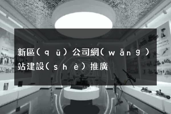 新區(qū)公司網(wǎng)站建設(shè)推廣