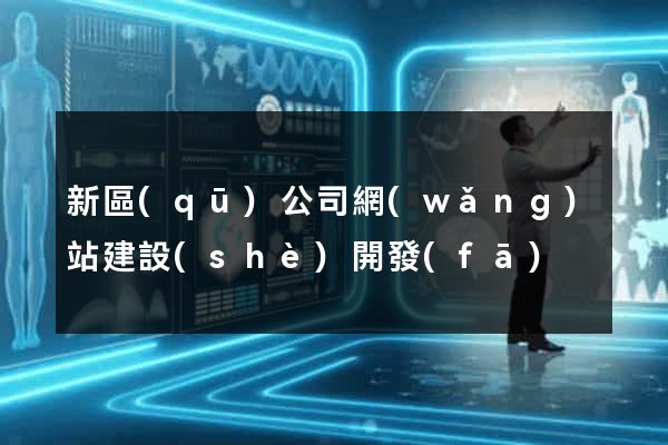 新區(qū)公司網(wǎng)站建設(shè)開發(fā)