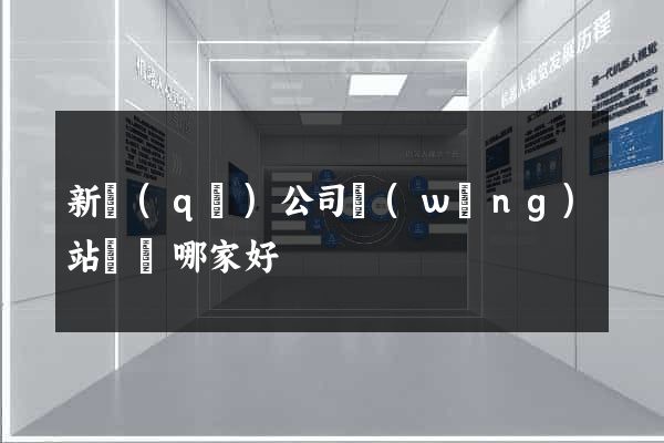 新區(qū)公司網(wǎng)站設計哪家好