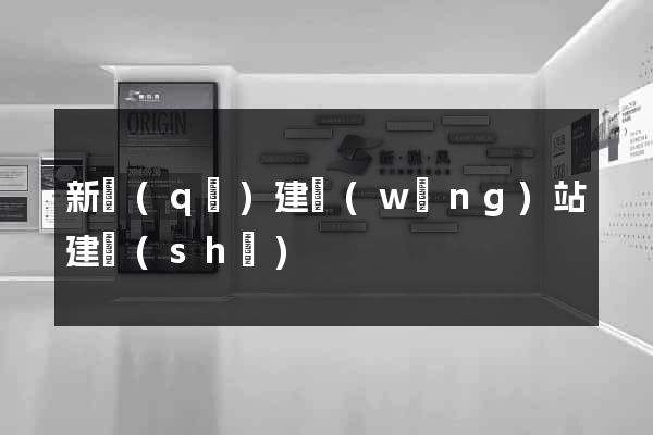 新區(qū)建網(wǎng)站建設(shè)