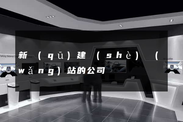 新區(qū)建設(shè)網(wǎng)站的公司