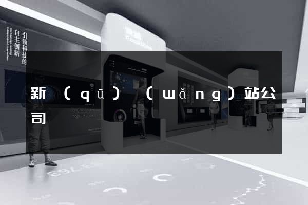 新區(qū)網(wǎng)站公司