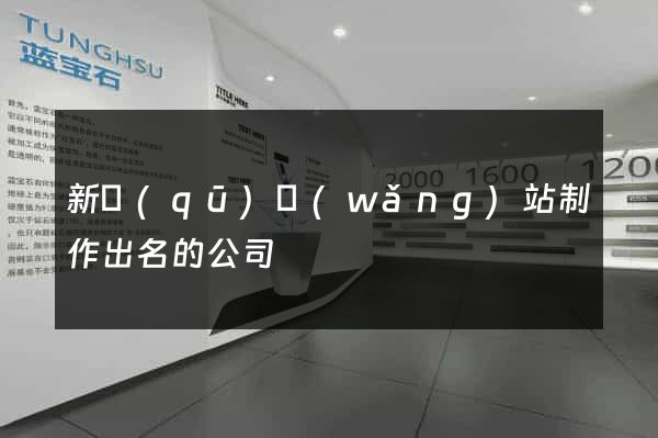 新區(qū)網(wǎng)站制作出名的公司