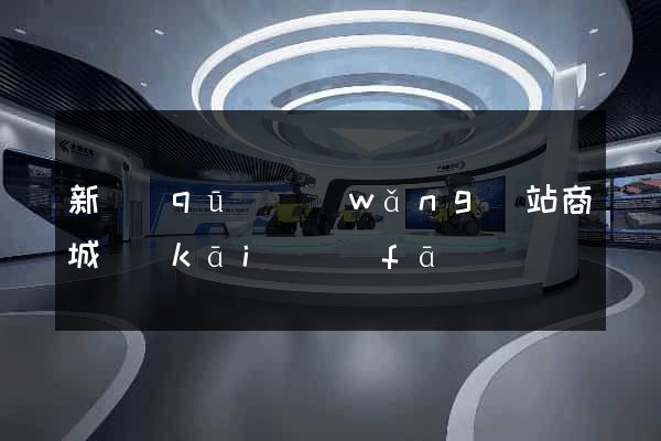 新區(qū)網(wǎng)站商城開(kāi)發(fā)