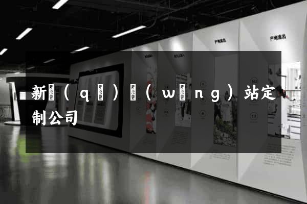 新區(qū)網(wǎng)站定制公司