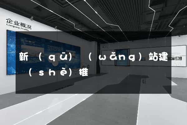新區(qū)網(wǎng)站建設(shè)推廣