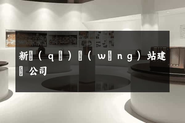 新區(qū)網(wǎng)站建設公司