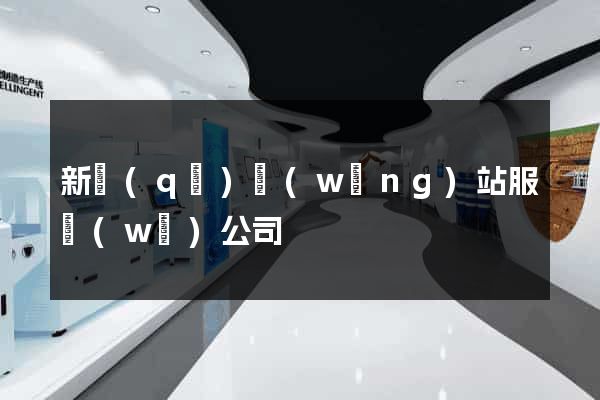新區(qū)網(wǎng)站服務(wù)公司