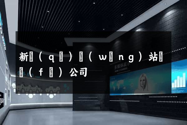 新區(qū)網(wǎng)站開發(fā)公司