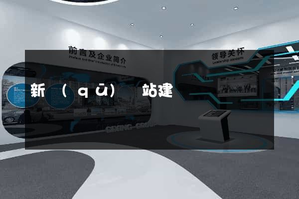 新區(qū)網站建設