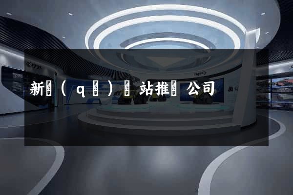 新區(qū)網站推廣公司