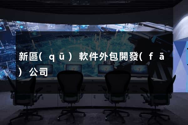 新區(qū)軟件外包開發(fā)公司