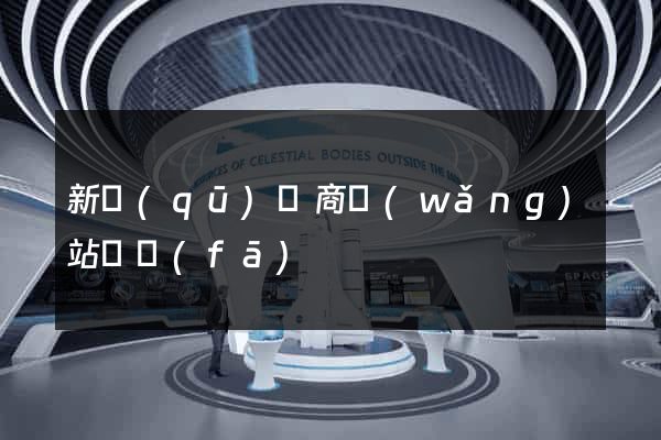 新區(qū)電商網(wǎng)站開發(fā)