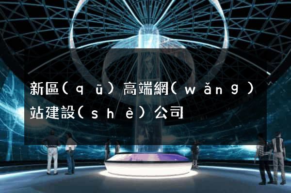 新區(qū)高端網(wǎng)站建設(shè)公司
