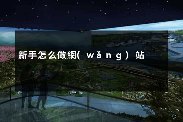 新手怎么做網(wǎng)站
